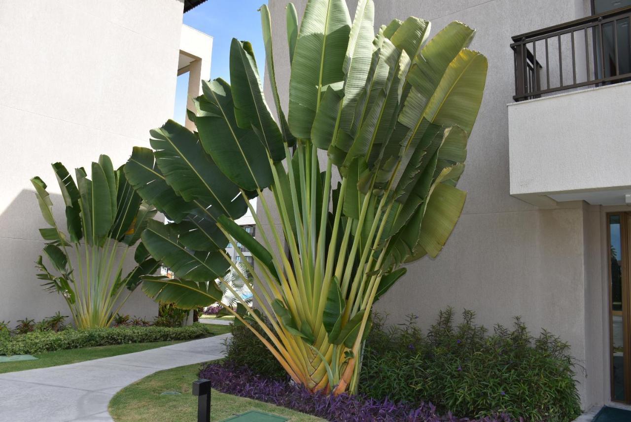 Boutique Ecolife * Porto de Galinhas